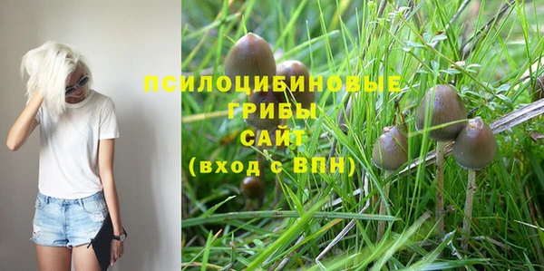 ALPHA PVP Балахна