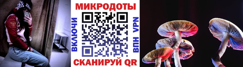 Псилоцибиновые грибы Psilocybine cubensis  Задонск 